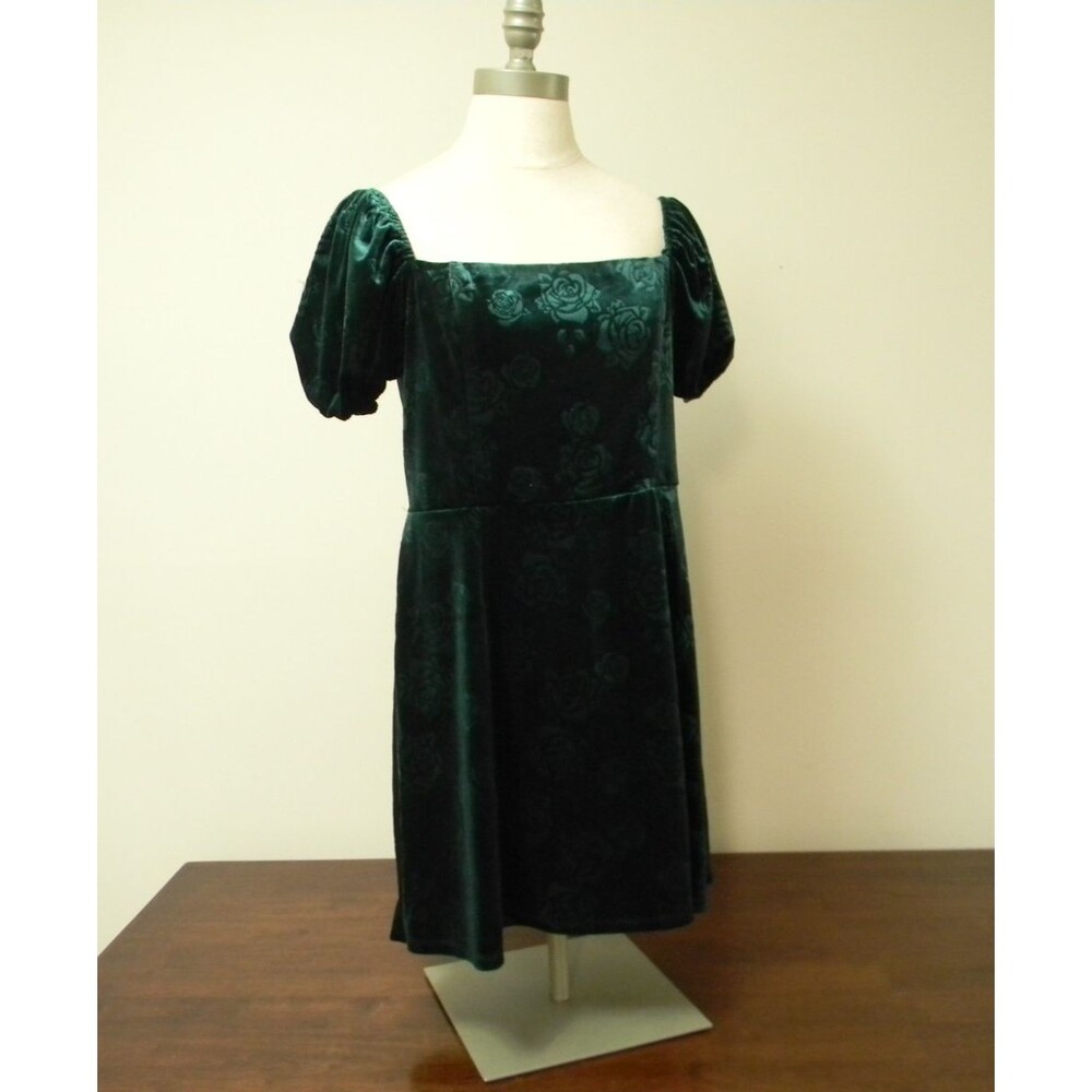Fancesca's Green Velvet Mini Floral Dress Sz Large Whimsy Milkmaid NWT